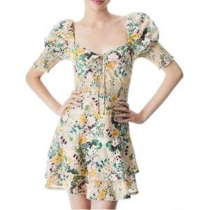 Alice + Olivia Crawford Sweetheart Tiered Emobroidered Floral Mini Dress